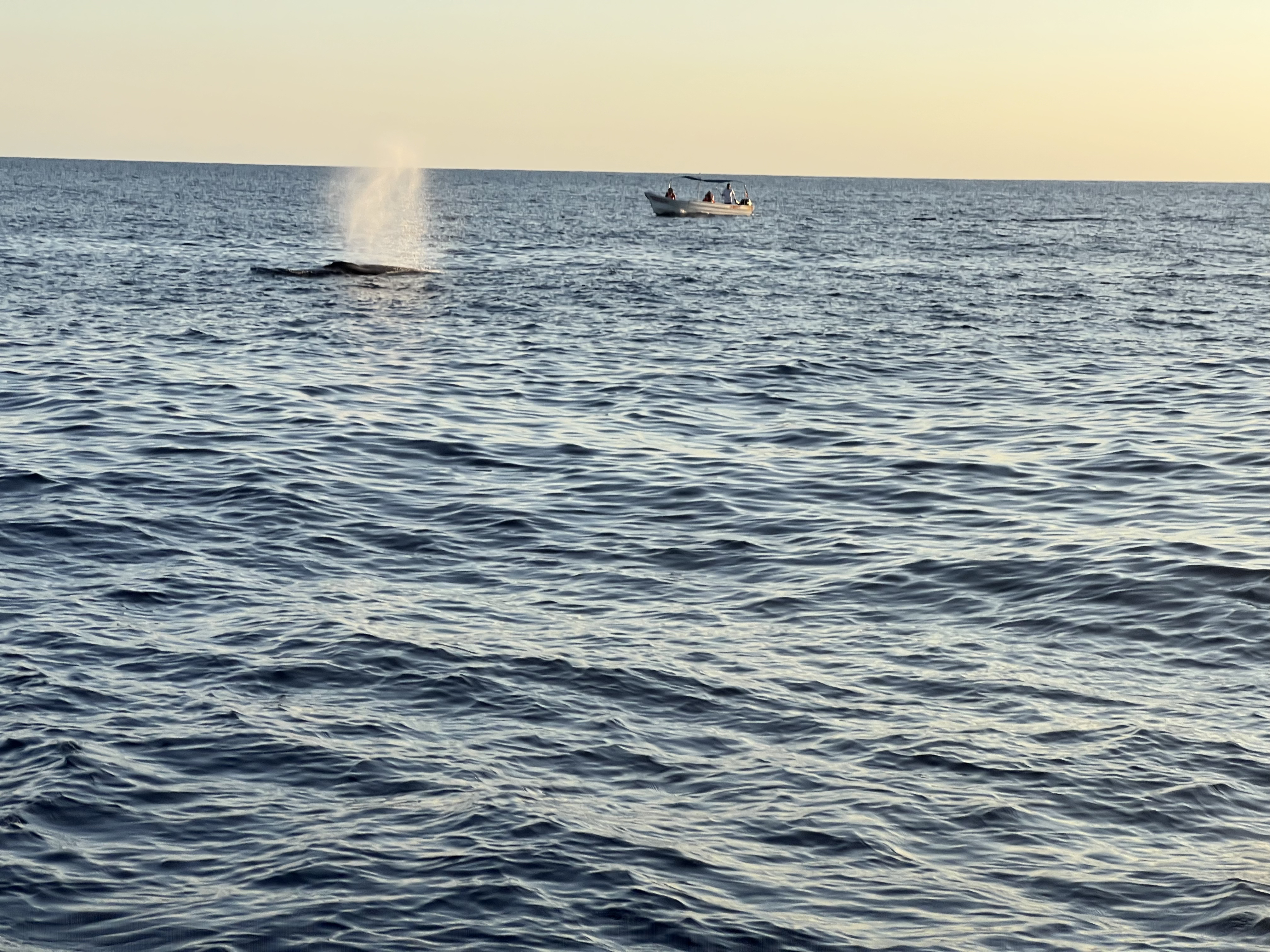 ./2024/13 - Cabo/IMG_4738.jpg